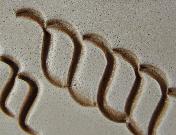 reminek-jelinek-5mm-120cm-pro-omotavky